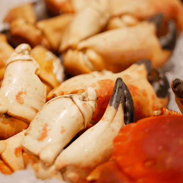 pinces de crabe fraiches